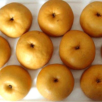 Xingao Pears